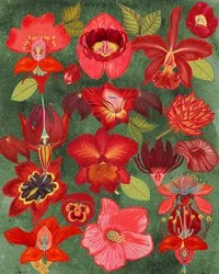 Jardin botanique rouge