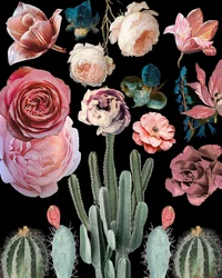 Cactus, fleurs et motifs botaniques