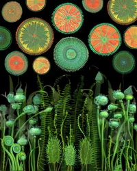 Motifs botaniques fantastiques