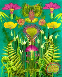 Jardin fantastique des plantes carnivores