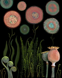 Jardin de fleurs microscopique