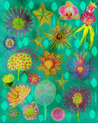 Un jardin botanique haut en couleur