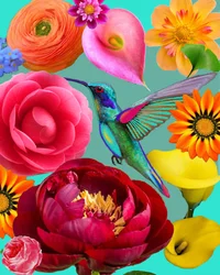 Fleurs éclatantes et colibri