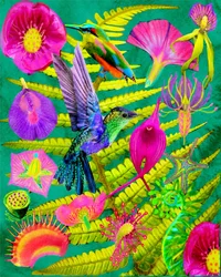 Un jardin tropical haut en couleur