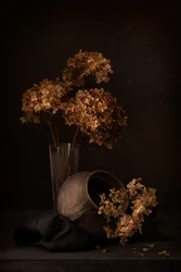 Nature morte aux hortensias sombres
