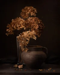Nature morte rustique aux fleurs séchées