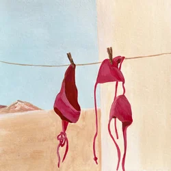 Bikinis du désert