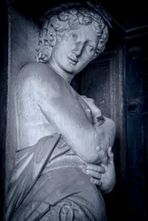 Biblioteca Marciana, Venise, Italie (photo)