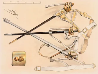 Tenue des troupes françaises à toutes les époques : Sabre de cavalerie, Collection privée